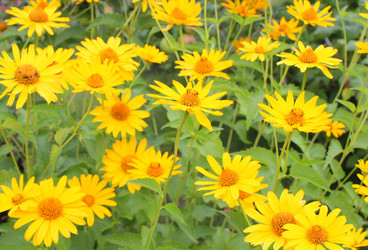 Similar image 106440