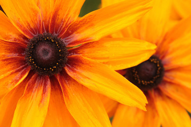 Similar image 106444