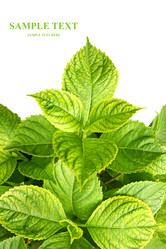 Similar image 106460