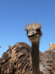 Similar image 106538