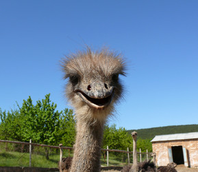 Similar image 106539