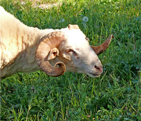 Similar image 106546