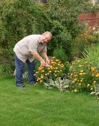 Similar image 106626