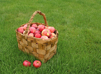 Similar image 106638