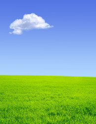 Similar image 106639