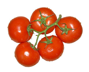 Similar image 106656