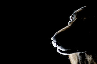 Similar image 106712