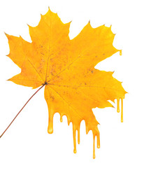 Similar image 106719