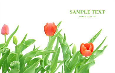 Similar image 106733