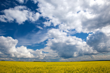 Similar image 106756