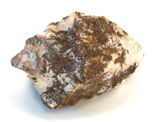 Similar image 106764