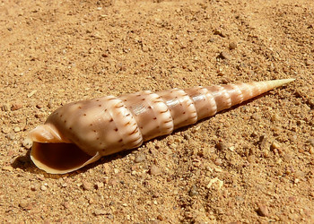 Similar image 106773