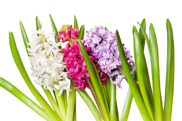 Similar image 106794