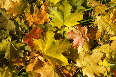 Similar image 106810