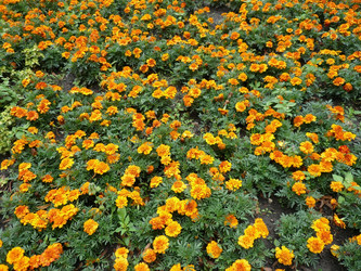 Similar image 106861