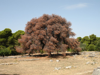 Similar image 106901