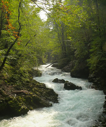 Similar image 106960