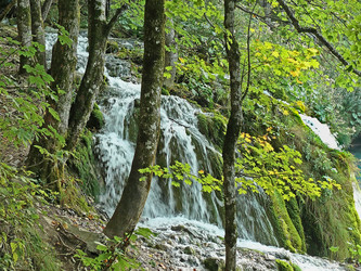 Similar image 106961