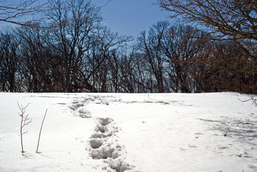 Similar image 106965