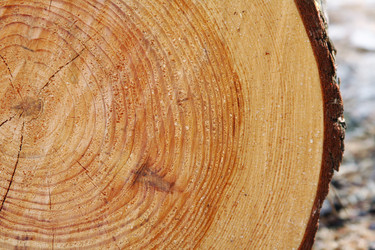 Similar image 106978