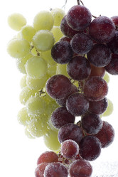 Similar image 107023