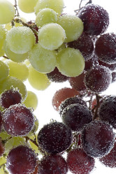 Similar image 107025