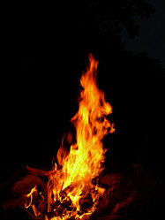 Similar image 107049