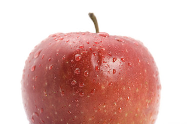 Similar image 107056