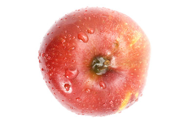 Similar image 107058