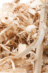 Similar image 107072