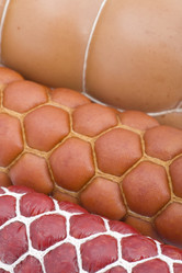 Similar image 107081