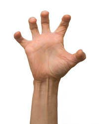 Similar image 107086