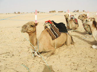 Similar image 107100