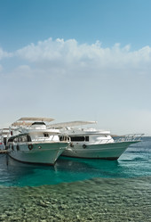 Similar image 107103