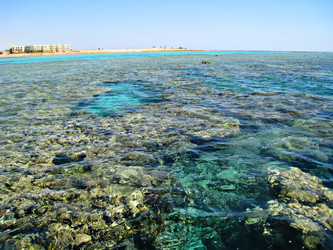 Similar image 107108