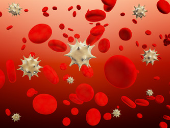 Similar image 107146