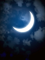 Similar image 107156