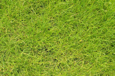 Similar image 107159