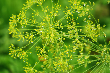 Similar image 107171