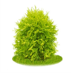 Similar image 107173