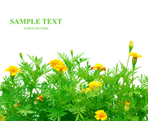 Similar image 107175