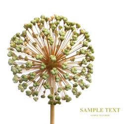 Similar image 107182