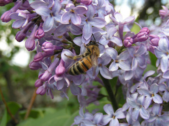 Similar image 107204