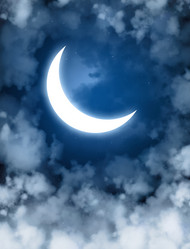 Similar image 107257