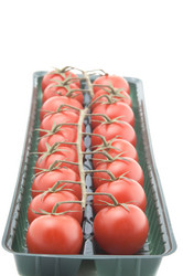 Similar image 107259