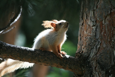 Similar image 107273