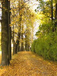 Similar image 107275