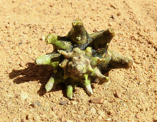 Similar image 107474