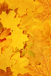 Similar image 107483