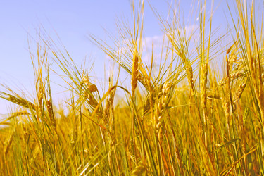 Similar image 107489